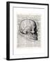 Vintage Anatomy Skull-Christopher James-Framed Premium Giclee Print