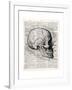 Vintage Anatomy Skull-Christopher James-Framed Premium Giclee Print