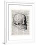 Vintage Anatomy Skull-Christopher James-Framed Premium Giclee Print