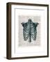 Vintage Anatomy Study-Christopher James-Framed Premium Giclee Print