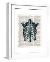 Vintage Anatomy Study-Christopher James-Framed Premium Giclee Print