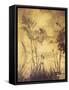 Framed Canvas
