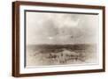 Brown Frame