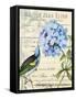 Vintage Aviary II-Karen Smith-Framed Stretched Canvas