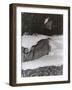 Vintage B&W Photo No.3, 1985-Peter McClure-Framed Photographic Print