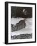 Vintage B&W Photo No.3, 1985-Peter McClure-Framed Photographic Print