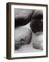 Vintage B&W Photo No.9, 1987-Peter McClure-Framed Photographic Print