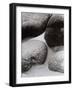 Vintage B&W Photo No.9, 1987-Peter McClure-Framed Photographic Print