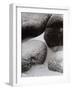 Vintage B&W Photo No.9, 1987-Peter McClure-Framed Photographic Print