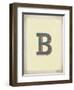 Vintage B-Kindred Sol Collective-Framed Art Print