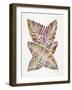 Vintage Banana Leaves-Cat Coquillette-Framed Giclee Print