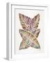 Vintage Banana Leaves-Cat Coquillette-Framed Giclee Print