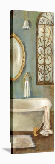 Vintage Bath II-Silvia Vassileva-Stretched Canvas