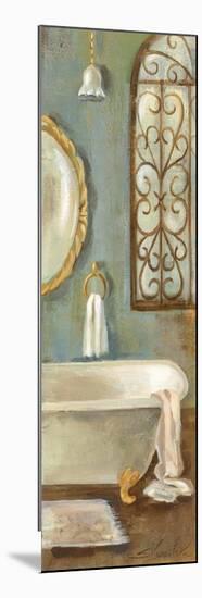 Vintage Bath II-Silvia Vassileva-Mounted Premium Giclee Print