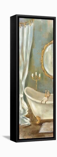 Vintage Bath-Silvia Vassileva-Framed Stretched Canvas