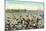 Vintage Beach Scene, Santa Cruz-null-Mounted Art Print