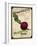 Vintage Beet Seed Packet-null-Framed Giclee Print