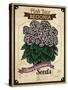 Vintage Begonia Seed Packet-null-Stretched Canvas