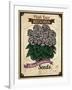 Vintage Begonia Seed Packet-null-Framed Giclee Print