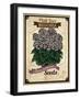 Vintage Begonia Seed Packet-null-Framed Giclee Print