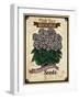 Vintage Begonia Seed Packet-null-Framed Giclee Print