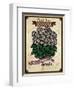 Vintage Begonia Seed Packet-null-Framed Giclee Print