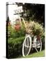 Vintage Bicycle I-Philip Clayton-thompson-Stretched Canvas