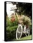 Vintage Bicycle I-Philip Clayton-thompson-Framed Stretched Canvas