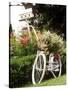Vintage Bicycle I-Philip Clayton-thompson-Stretched Canvas