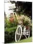 Vintage Bicycle I-Philip Clayton-thompson-Mounted Photographic Print