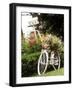 Vintage Bicycle I-Philip Clayton-thompson-Framed Photographic Print