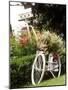 Vintage Bicycle I-Philip Clayton-thompson-Mounted Photographic Print