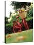 Vintage Bicycle II-Philip Clayton-thompson-Stretched Canvas