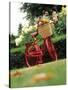 Vintage Bicycle II-Philip Clayton-thompson-Stretched Canvas