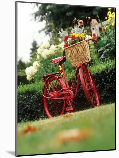 Vintage Bicycle II-Philip Clayton-thompson-Mounted Photographic Print