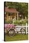 Vintage Bicycle III-Philip Clayton-thompson-Stretched Canvas