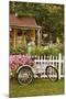 Vintage Bicycle III-Philip Clayton-thompson-Mounted Photographic Print