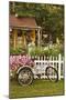 Vintage Bicycle III-Philip Clayton-thompson-Mounted Photographic Print