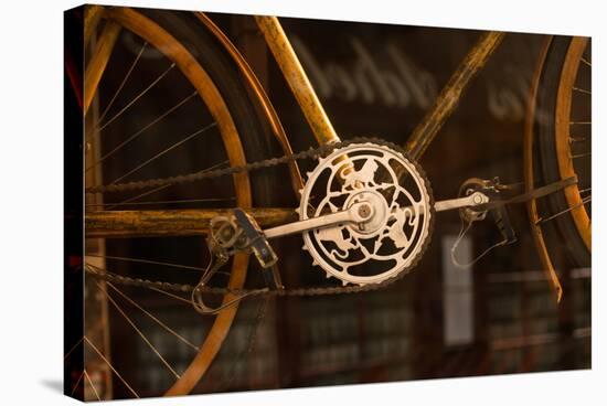 Vintage Bicycle-Erin Berzel-Stretched Canvas