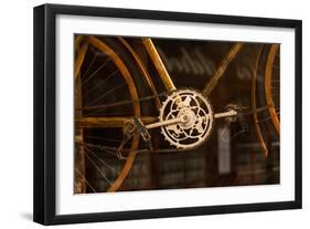 Vintage Bicycle-Erin Berzel-Framed Photographic Print