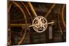 Vintage Bicycle-Erin Berzel-Mounted Photographic Print