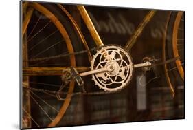 Vintage Bicycle-Erin Berzel-Mounted Photographic Print