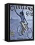 Vintage Bicycle-null-Framed Stretched Canvas