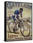 Vintage Bicycle-null-Framed Stretched Canvas