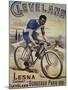 Vintage Bicycle-null-Mounted Giclee Print