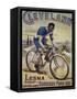 Vintage Bicycle-null-Framed Stretched Canvas