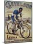 Vintage Bicycle-null-Mounted Premium Giclee Print