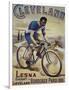 Vintage Bicycle-null-Framed Giclee Print