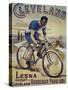 Vintage Bicycle-null-Stretched Canvas