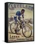 Vintage Bicycle-null-Framed Stretched Canvas